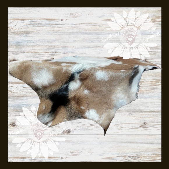 Tri Color Goat Hide Rug Home Accent - Picture 3 of 7